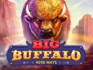 Big Buffalo