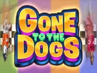 Gone to the Dogs